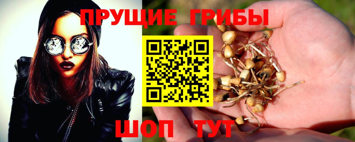 как найти закладки  Галлюциногенные грибы Magic Shrooms  Галлюциногенные грибы Magic Shrooms  Вход с VPN  Златоуст 